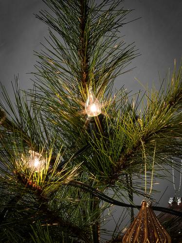 Konstsmide 1057-000 Weihnachtsbaum-Beleuchtung Außen netzbetrieben Anzahl Leuchtmittel 20 Glühlamp von Konstsmide
