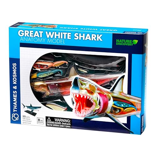 Thames & Kosmos , 261110, Great White Shark Anatomy Model, 20 Parts with Stand and Illustrated Guide Book, Nature Discovery Range, Detachable Parts, 3D Models, Ages 8+ von Thames & Kosmos