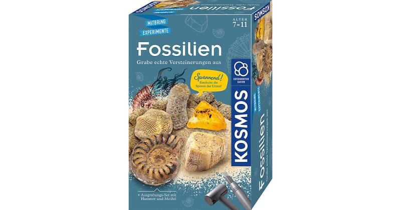 Ausgrabungs-Set Fossilien von Kosmos