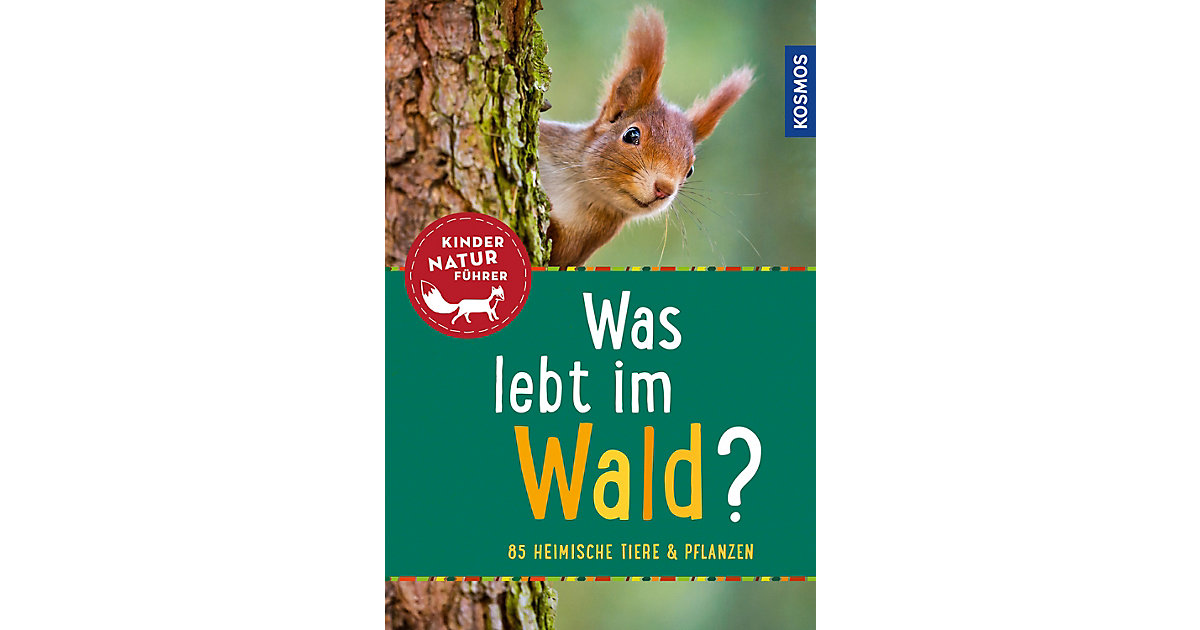Buch - Kindernaturführer: Was lebt im Wald? Buch - Kindernaturführer: Was lebt im Wald? von Kosmos
