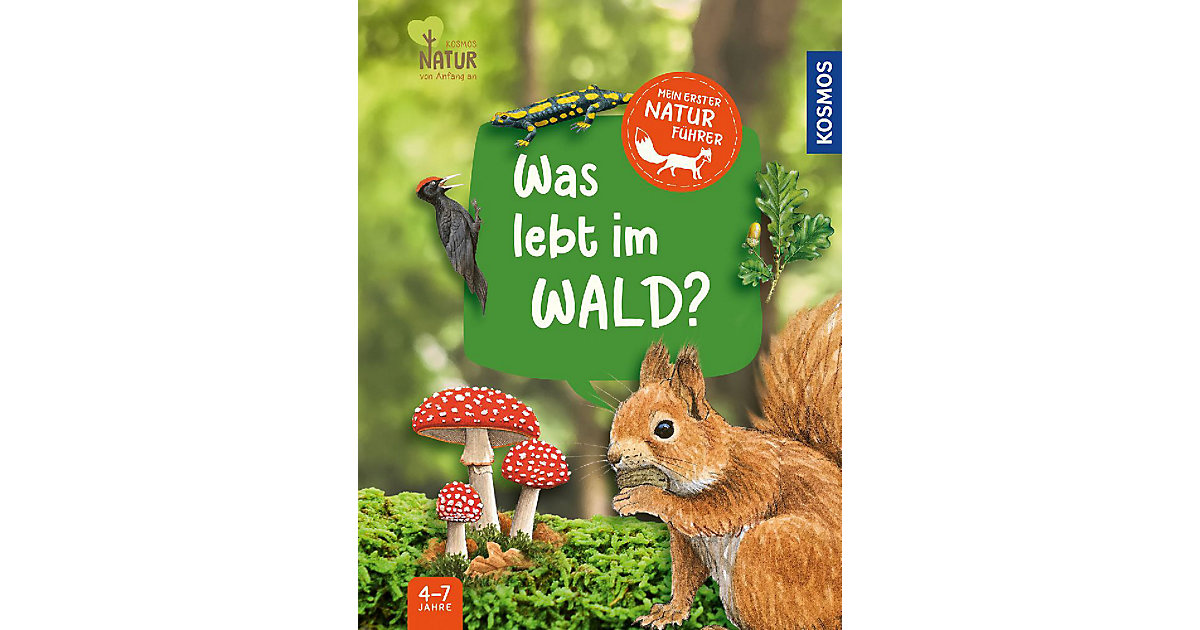 Buch - Mein erster Naturführer, Was lebt im Wald? von Kosmos