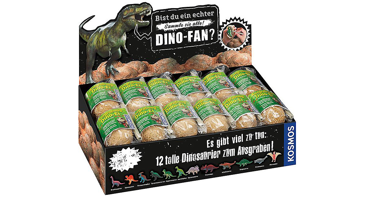 Dino Ei zum Ausgraben von Kosmos
