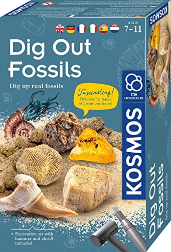 KOSMOS 616922 Fossilien Ausgrabungs-Set, Grabe echte Versteinerungen und Bernstein selbst aus, mit Hammer und Meißel, Experimentierset für Kinder ab 7 Jahre, mehrsprachige Anleitung KOSMOS 616922 Fossilien Ausgrabungs-Set, Grabe echte Versteinerungen und Bernstein selbst aus, mit Hammer und Meißel, Experimentierset für Kinder ab 7 Jahre, mehrsprachige Anleitung von Kosmos