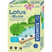 KOSMOS 637279 Lotusblume von Kosmos