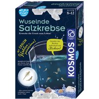 KOSMOS 654160 Fun Science Wuselnde Salzkrebse von Kosmos