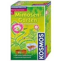 KOSMOS 657031 Mimosen-Garten von Kosmos