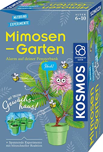 KOSMOS 657802 Mimosen-Garten, Pflanzen züchten und erforschen, Komplett-Set mit Mini-Gewächshaus, Experimentier-Set für Kinder ab 6 - 10 Jahre, Mitbringexperiment von Kosmos