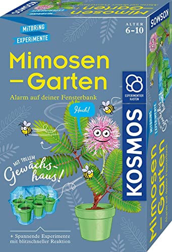 Kosmos 657802 Mimosen-Garten Pflanzen züchten und erforschen Komplett-Set mit Mini-Gewächshaus Experimentier-Set für Kinder ab 6 - 10 Jahre Mitbringexperiment teal/turquoise green Kosmos 657802 Mimosen-Garten Pflanzen züchten und erforschen Komplett-Set mit Mini-Gewächshaus Experimentier-Set für Kinder ab 6 - 10 Jahre Mitbringexperiment teal/turquoise green von Kosmos