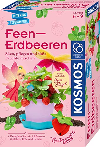 Franckh-Kosmos Feen-Erdbeeren: Experimentierkasten von Kosmos