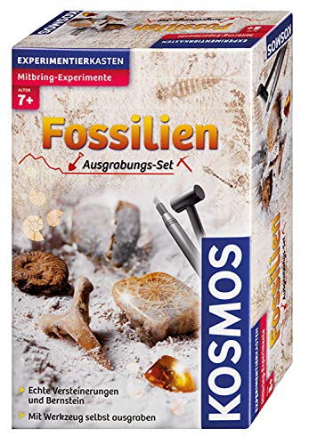 Kosmos 630461 - Fossilien Ausgrabungs-Set, Grabe echte Versteinerungen und Bernstein selbst aus, mit Hammer und Meißel, Experimentierset für Kinder ab 7 Jahre, Edition 2014 Kosmos 630461 - Fossilien Ausgrabungs-Set, Grabe echte Versteinerungen und Bernstein selbst aus, mit Hammer und Meißel, Experimentierset für Kinder ab 7 Jahre, Edition 2014 von Kosmos