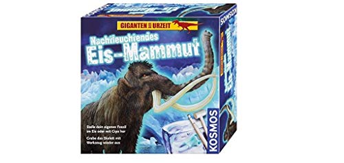 Kosmos 630478 - Nachtleuchtendes EIS-Mammut von Kosmos