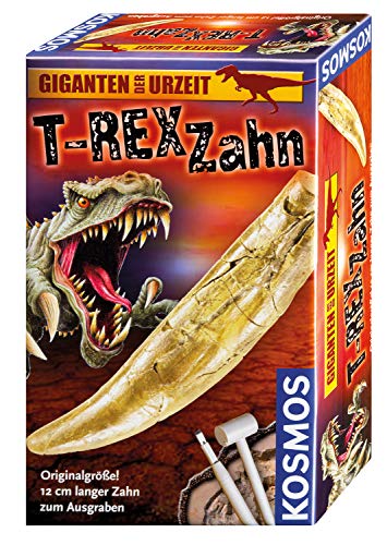 Kosmos 636173 T-Rex Zahn, Dino Zahn in Originalgröße zum Ausgraben, Komplett-Set mit Hammer und Meißel, Experimentierkasten für Kinder ab 7 Jahre und Dino Fans, Geburtstagsgeschenk, Mitbringsel von Kosmos