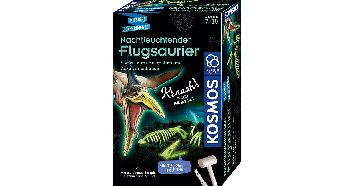 Nachtleuchtender Flugsaurier von Kosmos