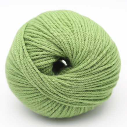 Kremke Soul Wool The Merry Merino 110 GOTS Garn 15 Eng Grün Kremke Soul Wool The Merry Merino 110 GOTS Garn 15 Eng Grün von Kremke Soul Wool