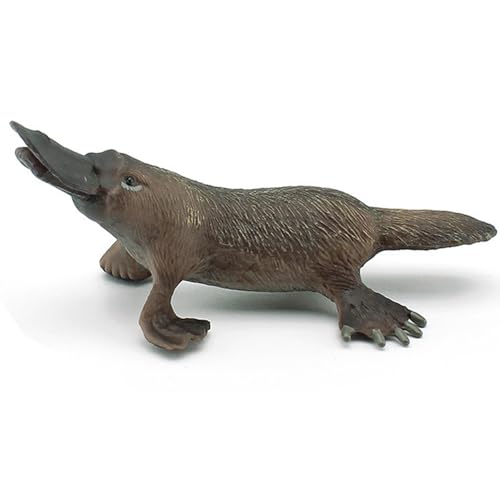 Krmoau Spielzeugfigur - -Modell simuliertes Tiermodell,Schnabeltier-Modell, Wildtierfiguren, Desktop-Dekorationssammlung, Partybevorzugungen, Spielzeug für, Mädchen, Kinder Krmoau Spielzeugfigur - -Modell simuliertes Tiermodell,Schnabeltier-Modell, Wildtierfiguren, Desktop-Dekorationssammlung, Partybevorzugungen, Spielzeug für, Mädchen, Kinder von Krmoau