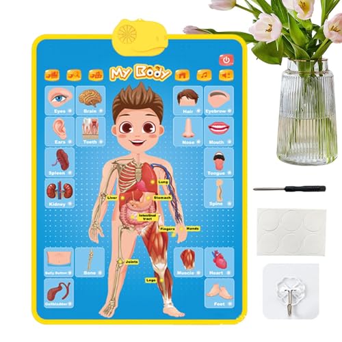 Krujecnt Lernposter für Kleinkinder, elektronisches, interaktives pädagogisches Sprechposter, musikalisches Wanddiagramm, Wandtabelle für Heimschulbedarf Krujecnt Lernposter für Kleinkinder, elektronisches, interaktives pädagogisches Sprechposter, musikalisches Wanddiagramm, Wandtabelle für Heimschulbedarf von Krujecnt