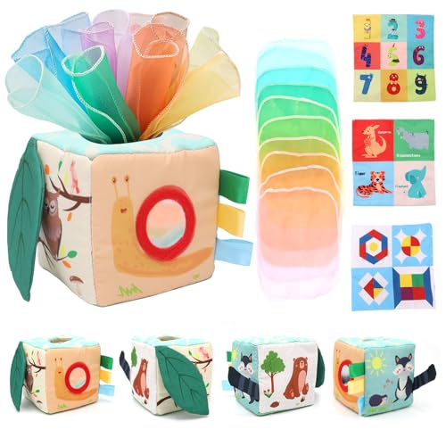 Montessori Toys Baby Cloth Box Boxen von 6-12 Monaten | Motorzeremonie mit Spiegel, Farben und Texturen | Geschenk für Spielzeug Experte für 1-3 Jahre junges Mädchen von Kunaxku