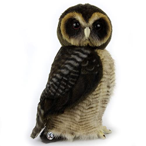 Eule Premium Vogel Malaienkauz Kauz Brown Wood Owl Plüschtier Dekotier Aramis - Kuscheltiere*biz von Kuscheltiere.biz