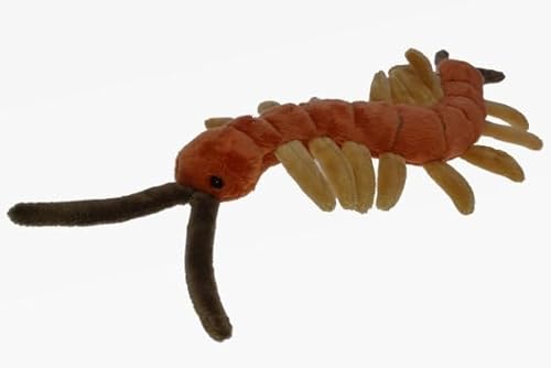 Hundertfüßler Kuscheltier Tausendfüßler Insekt Gliederfüßler Plüschtier Chiro Hundertfüßler Kuscheltier Tausendfüßler Insekt Gliederfüßler Plüschtier Chiro von Kuscheltiere.biz