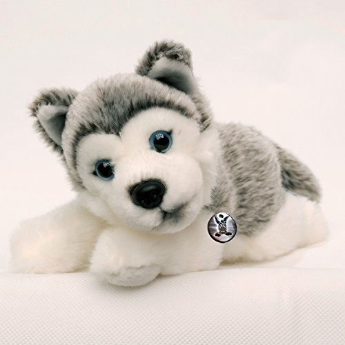 Husky Welpe Anouk liegend 22 cm Schlittenhund Alaskan Malamute Kuscheltier Plüschtier Hund Plüschhund von Kuscheltiere.biz