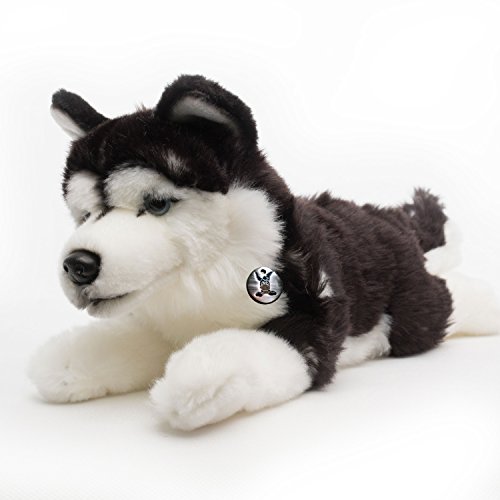 Husky Yukon Schlittenhund schwarz-weiß liegend Hund 29 cm Kuscheltier Plüschtier Hund Plüschhund Husky Yukon Schlittenhund schwarz-weiß liegend Hund 29 cm Kuscheltier Plüschtier Hund Plüschhund von Kuscheltiere.biz