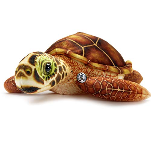 Schildkröte Kuscheltier Turtle Plüschtier Wasserschildkröte BROWNY - Kuscheltiere*biz Schildkröte Kuscheltier Turtle Plüschtier Wasserschildkröte BROWNY - Kuscheltiere*biz von Kuscheltiere.biz