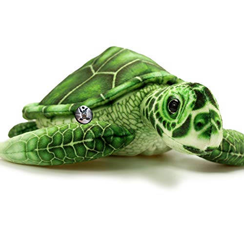 Schildkröte Kuscheltier Turtle grün Plüschtier Wasserschildkröte Sammy - Kuscheltiere*biz von Kuscheltiere.biz