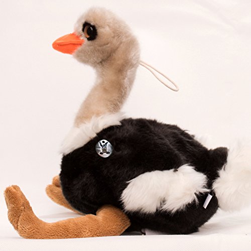 Strauß Kuscheltier Vogel Laufvogel 44 cm Plüschtier Speedy - Kuscheltiere*biz von Kuscheltiere.biz