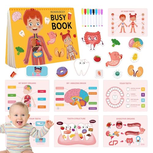Kustimantu Menschlicher Körperbuchbuch für Kinder, menschliches Körper Anatomie Buch für Kinder, Homeschool -Lernaktivitäten, Sensorische Bildungsreise-Anatomie-Buchspielzeug für und Mädchen 4-8 Jahre Kustimantu Menschlicher Körperbuchbuch für Kinder, menschliches Körper Anatomie Buch für Kinder, Homeschool -Lernaktivitäten, Sensorische Bildungsreise-Anatomie-Buchspielzeug für und Mädchen 4-8 Jahre von Kustimantu