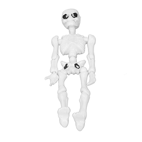 Kuuleyn Menschliches Skelettmodell, Mini-Simulation, Bewegliches Menschliches Skelettmodell Mit Beweglichen Armen Und Beinen Für Das Studium an Der Medizinischen Ausbildungsstation von Kuuleyn