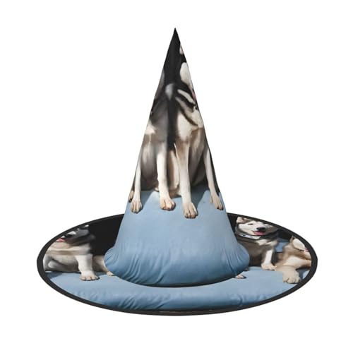 Kwjsdfea Hübscher Husky-Druck, vielseitiger Halloween-Hut, Hexenhut für Damen, Herren, Erwachsene, lustige und stilvolle Halloween-Party-Dekoration, 1 Stück von Kwjsdfea