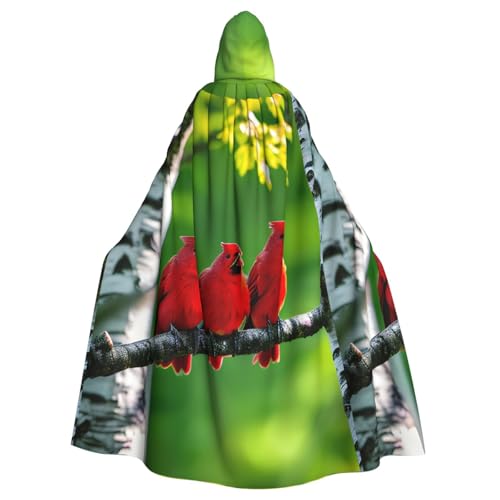 Kycvds Birkenbäume Kostüm für Erwachsene, Umhang mit Kapuze, lässiger Kapuzenmantel, Mantel, Kapuzenjacke, Uniform von Kycvds
