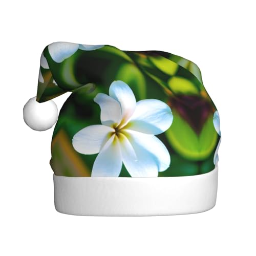 Kycvds Hawaii-Blume, Weihnachtsmannmütze, Urlaub für Erwachsene, Unisex, Samt, Komfort, extra dick, für Neujahr Kycvds Hawaii-Blume, Weihnachtsmannmütze, Urlaub für Erwachsene, Unisex, Samt, Komfort, extra dick, für Neujahr von Kycvds