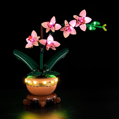Kyglaring LED Beleuchtungsset für Lego 10343 Mini Orchid – Dauerlicht-Kit kompatibel mit Lego Botanical Collection – Dekorative Beleuchtung für Sammler (Ohne Steine) von Kyglaring