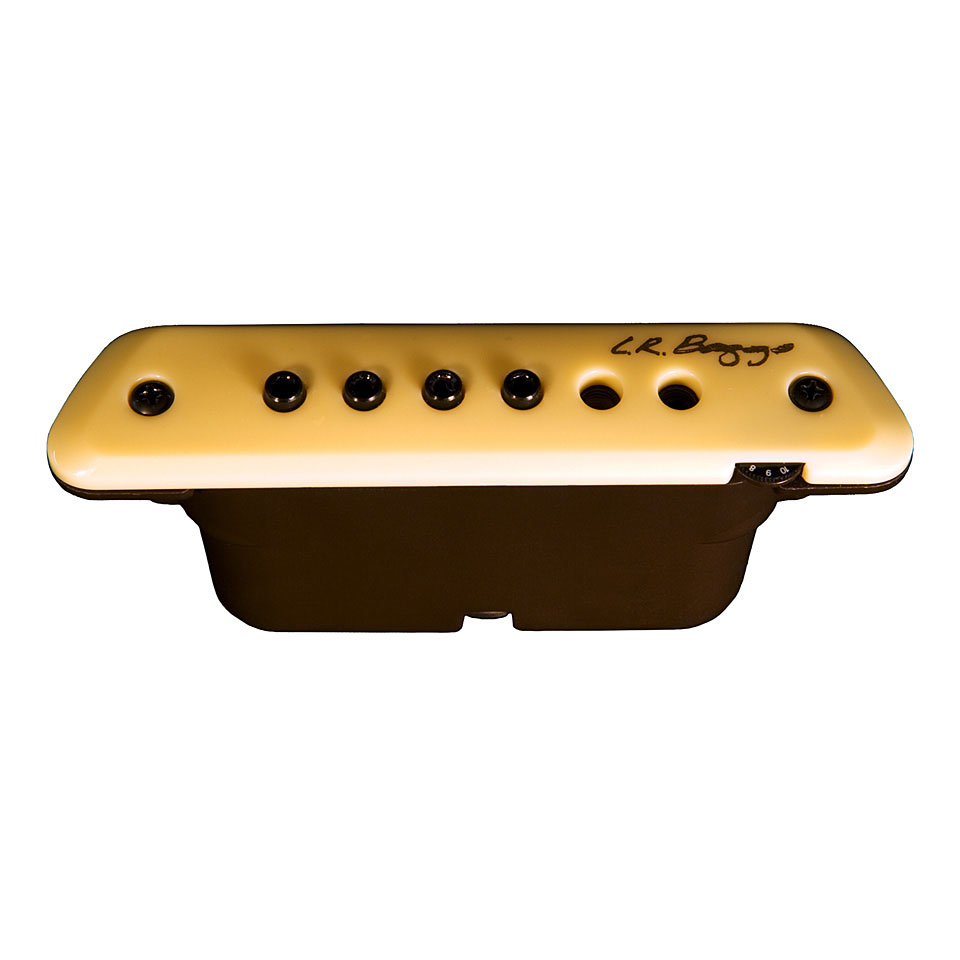 L.R. Baggs M1A Pickup Akustikgitarre von L.R. Baggs