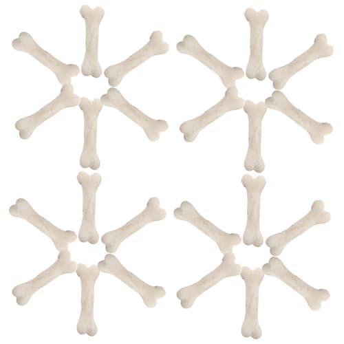 LABRIMP 20 Stück Teiliges Miniatur Hunde Knochen aus Resin Realistische Künstliche Mini Knochen für DIY Basteln Halloween Dekoration Edukative Handarbeitsprojekte und Haustierspielzeug von LABRIMP