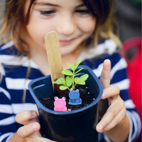 LABRIMP 70Stücke Mini Harz Frosch Figuren für Desktop Aquarium Dekoration Kreative Frosch Statuen für Bonsai Mikrolandschafts Robustes Langlebiges Design LABRIMP 70Stücke Mini Harz Frosch Figuren für Desktop Aquarium Dekoration Kreative Frosch Statuen für Bonsai Mikrolandschafts Robustes Langlebiges Design von LABRIMP