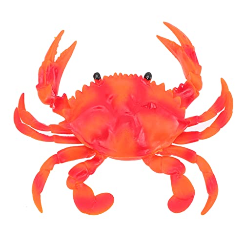LABRIMP Modell Realistisches Unterwasser Tier für Aquarium Dekoration und Lernspielzeug für Praktisch und Detailreich LABRIMP Modell Realistisches Unterwasser Tier für Aquarium Dekoration und Lernspielzeug für Praktisch und Detailreich von LABRIMP