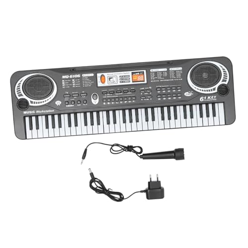 LABRIMP Multifunktionales Tasten Abs Leicht Tragbar Stabiles Musikinstrument Lernspielzeug für Mädchen Jungen Frühkindliche Musikförderung von LABRIMP
