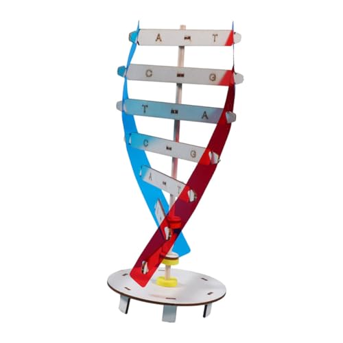 1Satz DIY DNA Doppelhelix Modellset für Lernspielzeug Interaktives Baukastenspielzeug für Kritisches und Kreative von LALADEFIEE