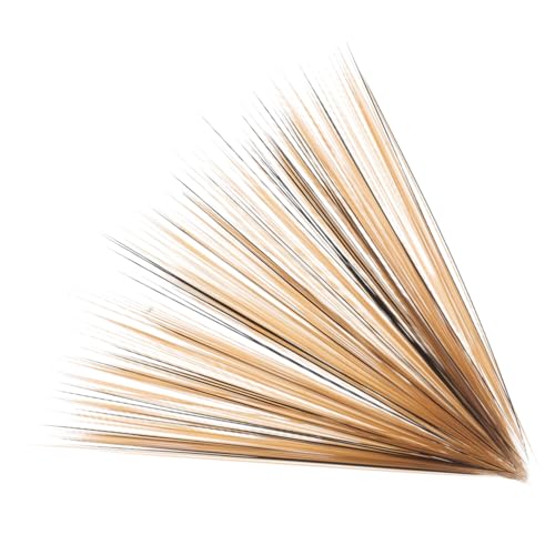 LALADEFIEE 1 Flaschensimulationskatze Whisker Für Tiermodellierung Und Plüschpuppen Realistische Tierflhiser Für Handwerksfilzung Stoffed Puppenzubehör von LALADEFIEE