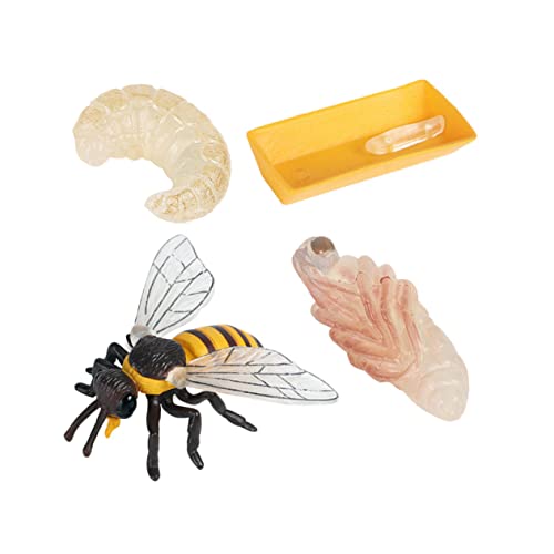 LALADEFIEE 1Satz Bienenwachstumszyklus Modellset Teiliges Kognitionsspielzeug für Lebendige Figuren zur Biologischen Bildung Sicherer für Kreative Lernspiele von LALADEFIEE