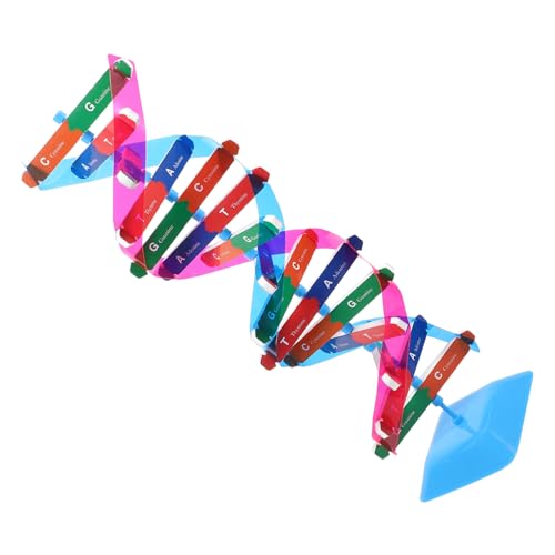 LALADEFIEE Doppelhelix-DNA-Modell Satz Lehrmaterial Naturwissenschaften DNA-Modell Baustein Wissenschaftliches Molekularmodell Lehrinstrument Für Biologie von LALADEFIEE