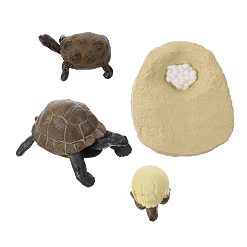 LALADEFIEE 1Satz Kognitives Lernspielzeug für Teilige Schildkrötenwachstumszyklus Modelle Pädagogisches Tier Evolution Imagination LALADEFIEE 1Satz Kognitives Lernspielzeug für Teilige Schildkrötenwachstumszyklus Modelle Pädagogisches Tier Evolution Imagination von LALADEFIEE