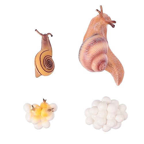 LALADEFIEE 1Satz Simulierten Kunststoff Tiermodellen für Lebenszyklus Umweltfreundliches für Garten und Kreative Dekoration Teiliges Set mit Schneckenfiguren von LALADEFIEE