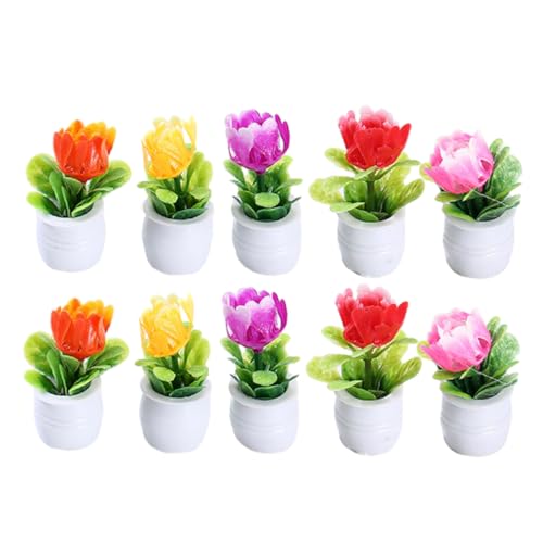 LALADEFIEE Miniatur Potted Plant Set Für Puppenhaus Realistische Bonsai Modelle 5 Farben Je Perfekte Deko Für Tiny House Und Gartenlandschaft von LALADEFIEE
