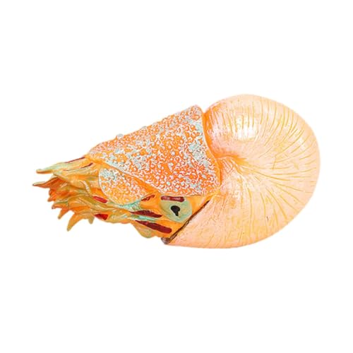 LALADEFIEE Kunststoff Nautilus Modell Simuliertes Meerestiermodell Meerestier Statue Ornament Für Zuhause Garten von LALADEFIEE