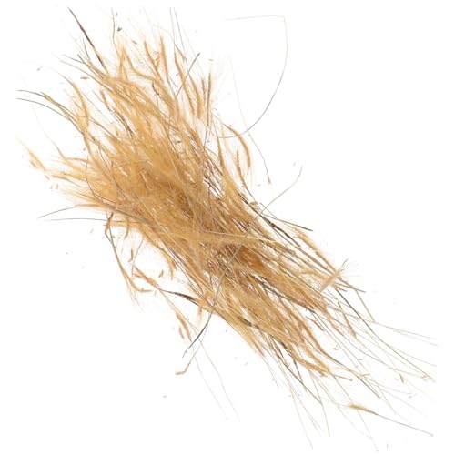 LALAFINA 1 Schachtel Fake Dried für Modellbau Dioramen Miniatur Farm Szenen Zubehör für Mikro Landschaftsdekoration von LALAFINA