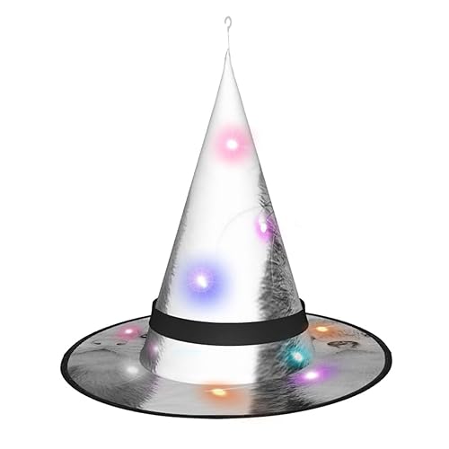 LAMAME Frettchen bedruckter Halloween-Hexenhut für Erwachsene, leuchtender spitzer Hut für Halloween, Weihnachten, Party, Dekoration von LAMAME