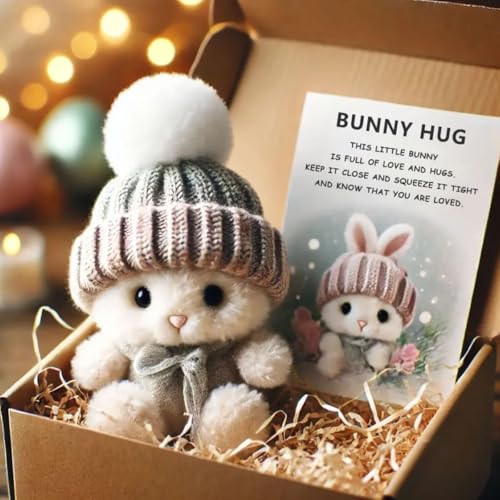 LAUFUY Mini Bunny Hug Ostergeschenk Handgemachte Häkeltasche Bunny Puppe Emotionale Unterstützung Plüsch Kaninchen in Box für Kinder, Familie & Freunde (Grau) von LAUFUY
